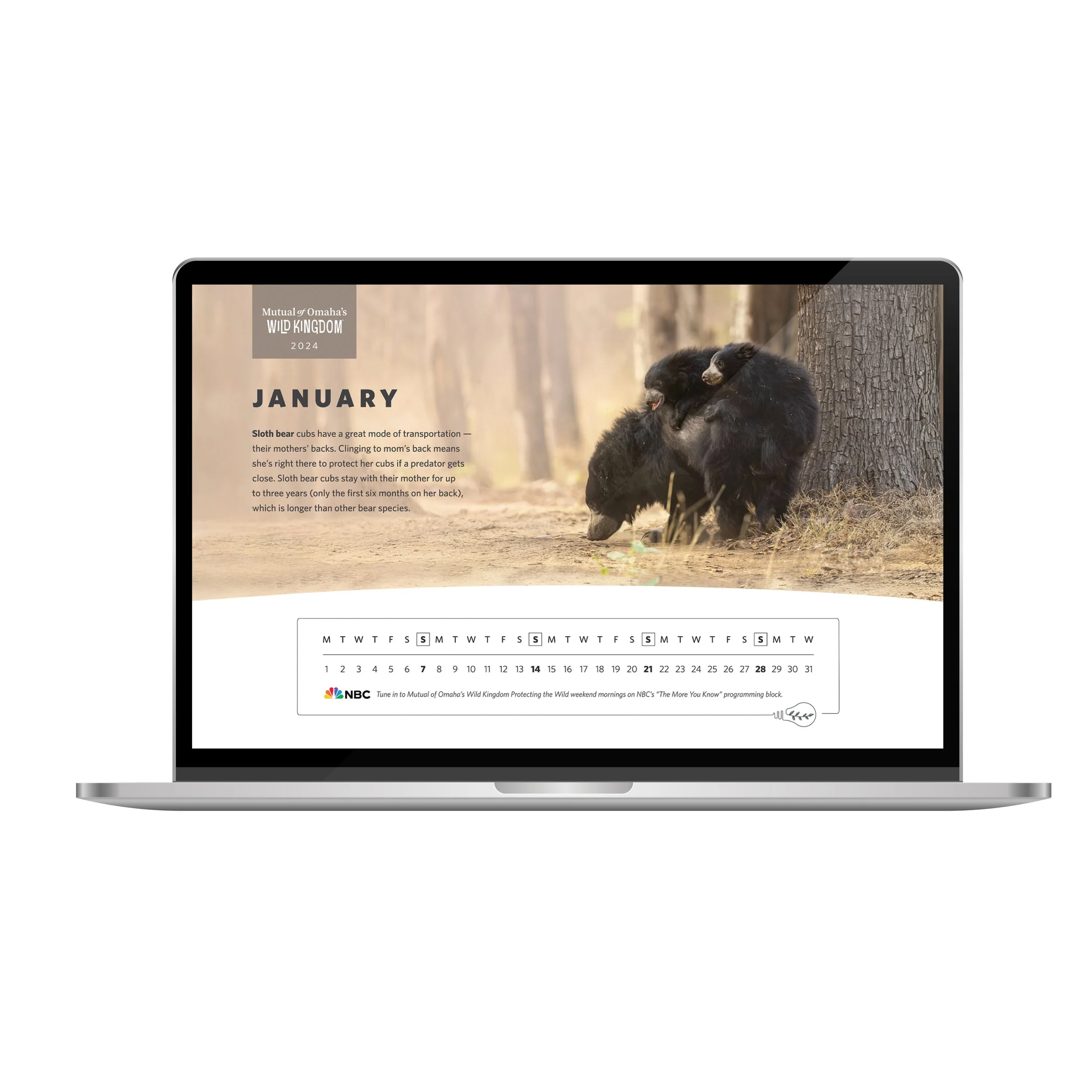 laptop background design for wild kingdom