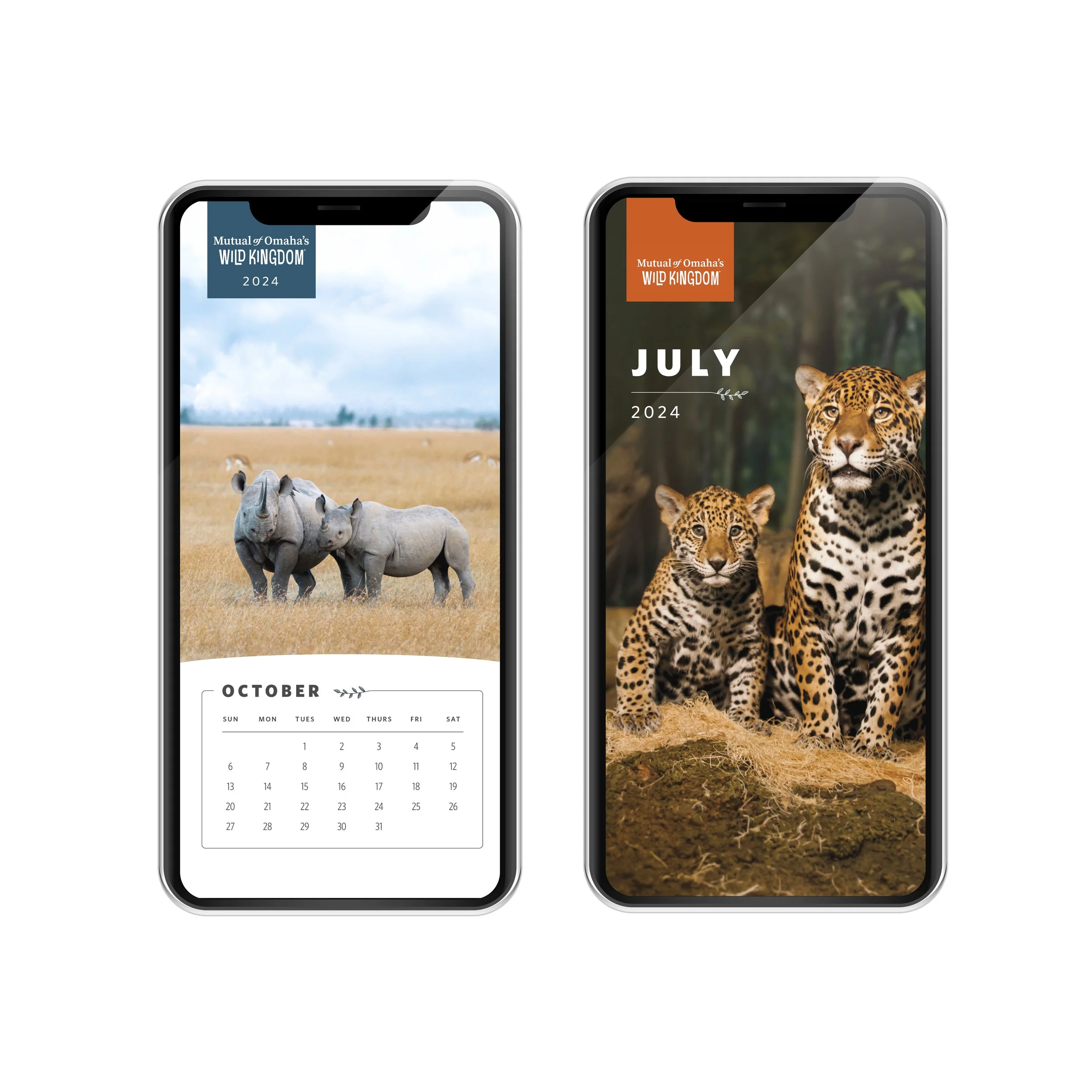 phone background design for wild kingdom