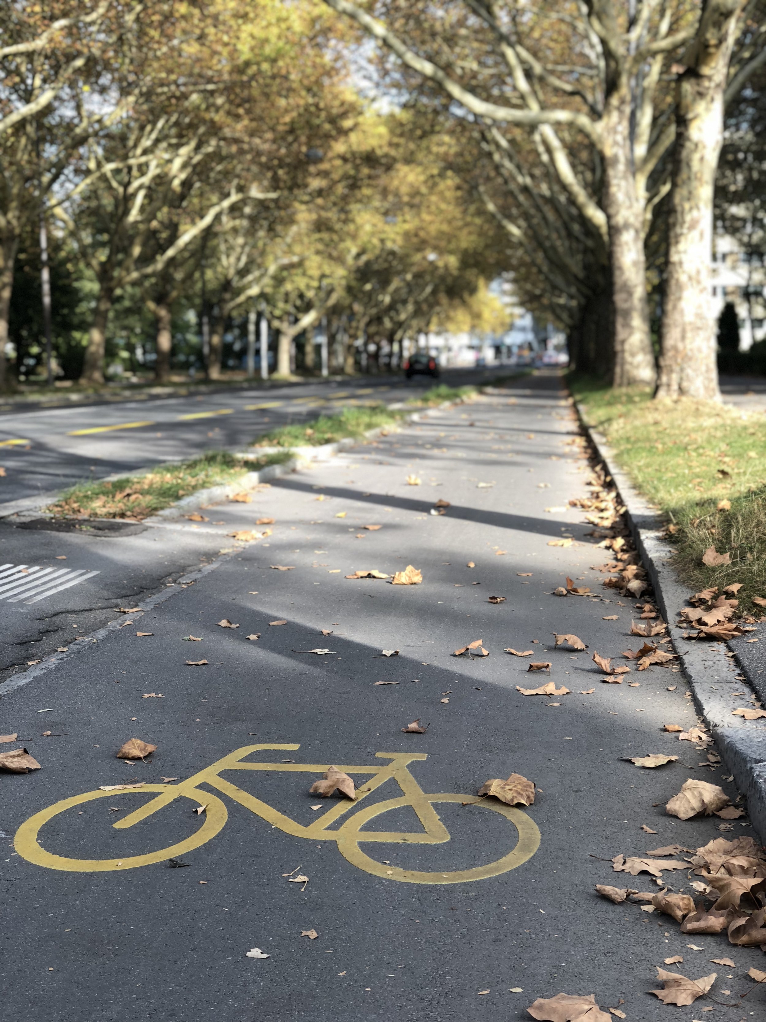  Traditionally, painted bicycle lanes have comprised the majority of Swiss bike infrastructure, but these are insufficient to guarantee safety along major corridors. The newly implemented cycle track on Velo-Hauptroute Wankdorf should become the stan