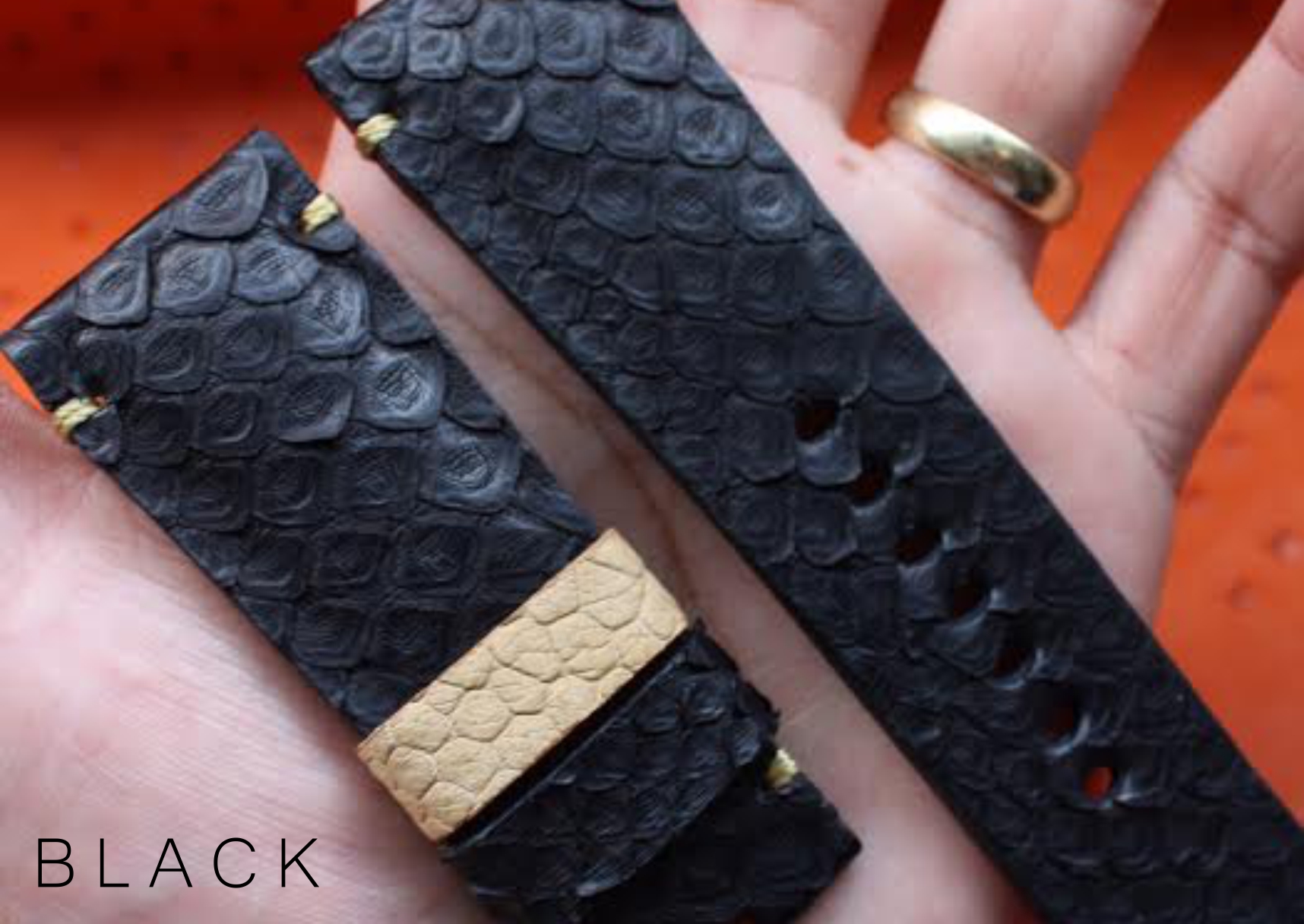 black python.jpg