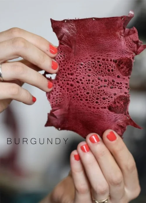 burgundy.jpg