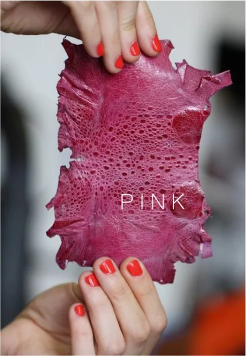 PINK.jpg