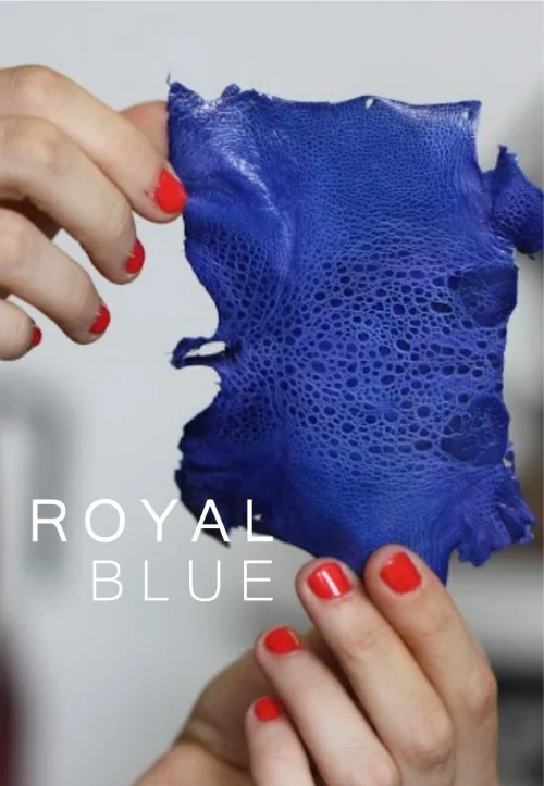 ROYAL.jpg
