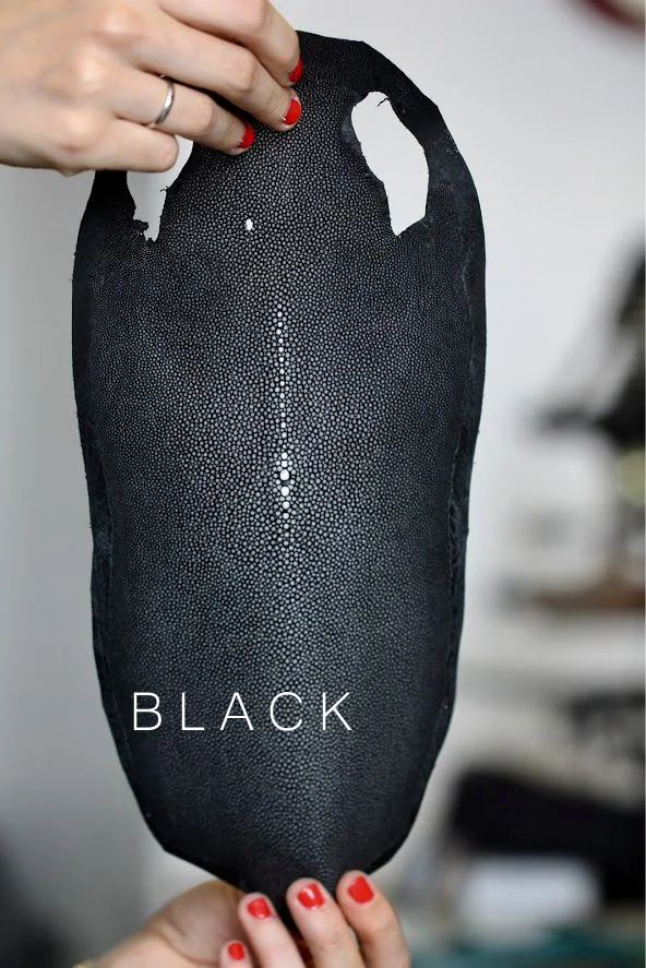black stingray.jpg