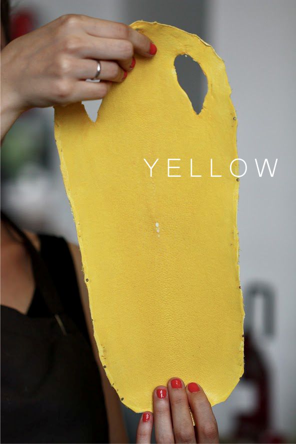 yellow stingray.jpg