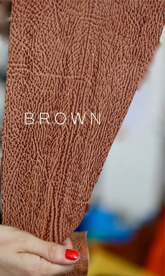 BROWN SHARK.jpg