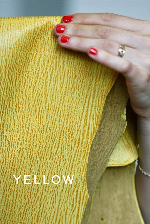 yellow shark.jpg