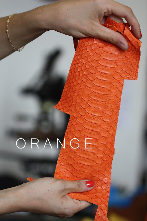 orange python.jpg