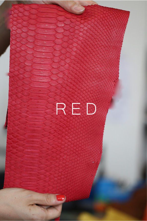 red python.jpg
