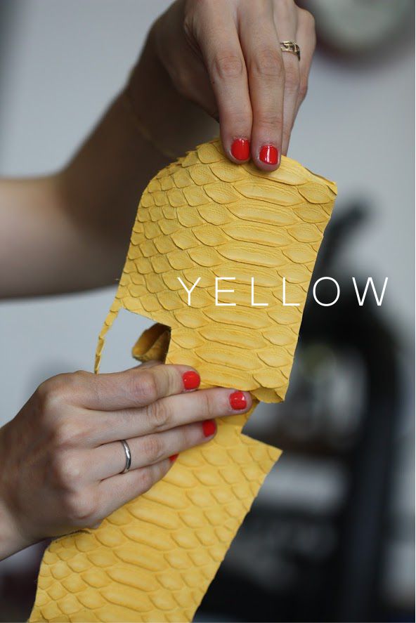 YELLOW PYTHON.jpg