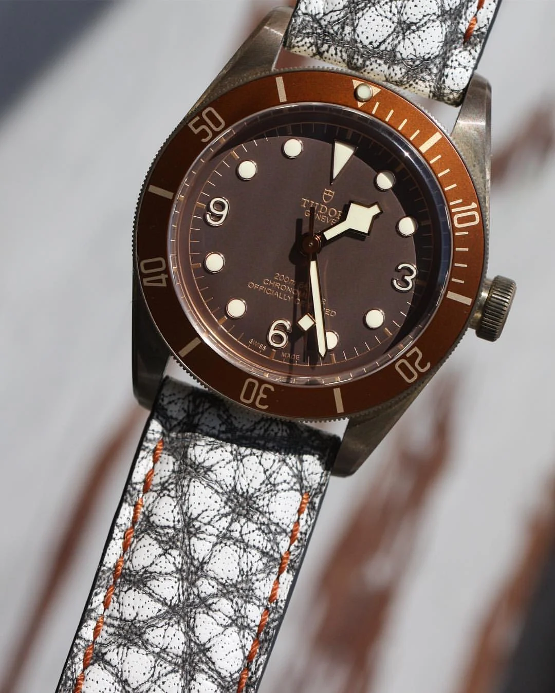 Tudor Bronze on Off white and Black Leather with rust stitching