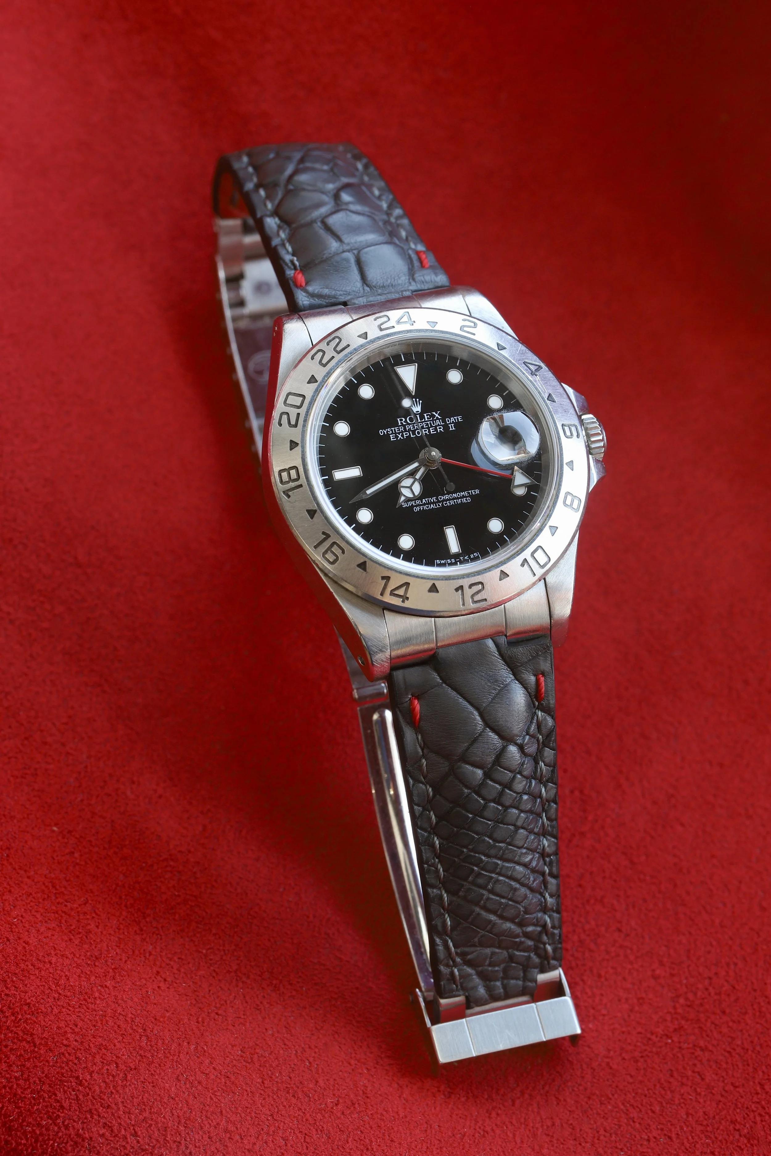 Dark grey alligator leg