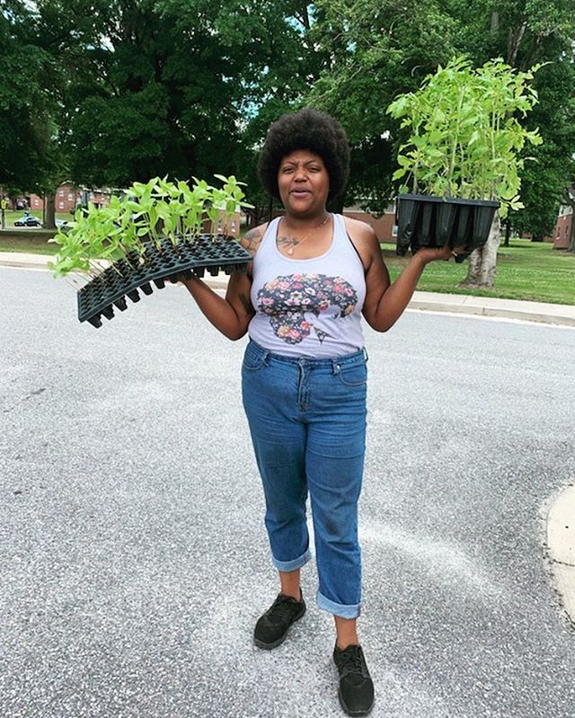nobody:
.
.
us: yeen get your garden box yet!? well whatcha waitin' on!?
.
while these huge plants near our head aren't going to be in there this week, they'll definitely go towards supporting meals for others around the city of richmond. feel free to follow @rvafoodjustice to follow where these babies'll go but be sure you purchase your @sunpathfarms garden box to get delicious microgreens & various veggies we've been surprised with! we're thinking of bringing the grapefruit & raspberry back for this box! - what you think!?
#kombucha #bycomebucha #sunpathfarms #microgreens #microbiome #yum #makeyourtummyhappy #whosthatlady #comebuchaowner #brewHER #v #heyyall #mkbyenow