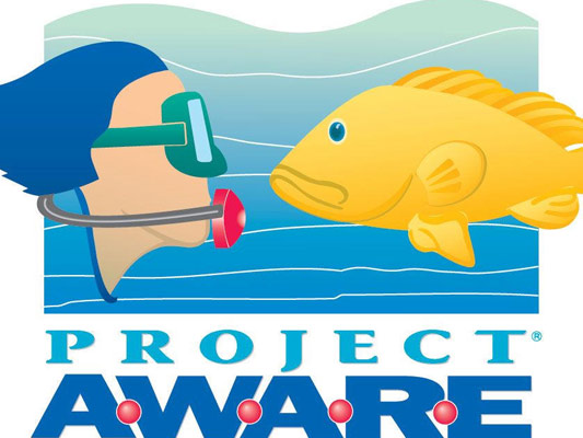 padi-project-aware.jpg