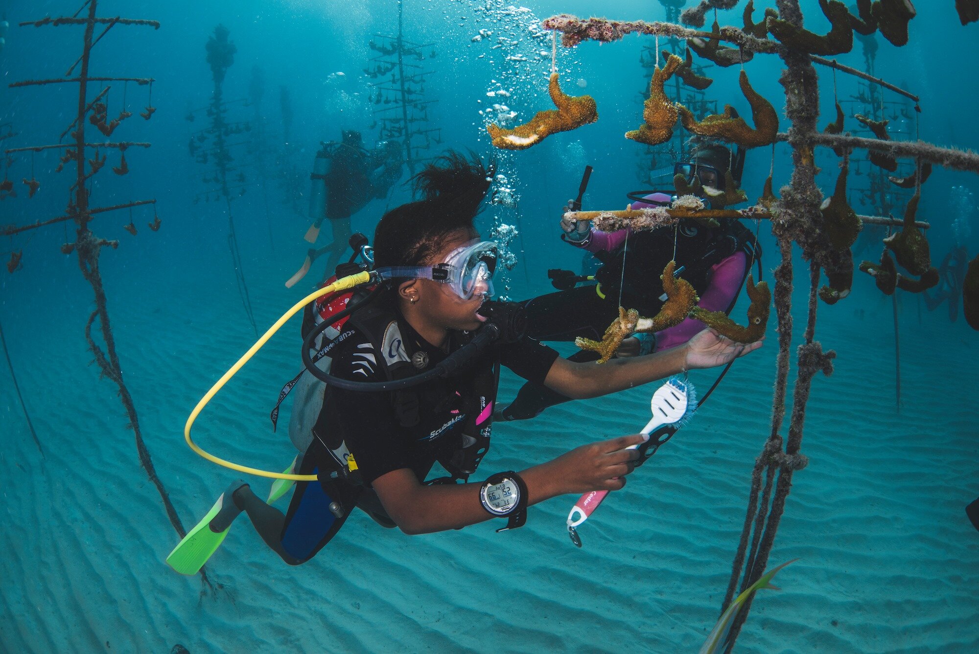 BGD Scholar Micaela cleaning coral branches