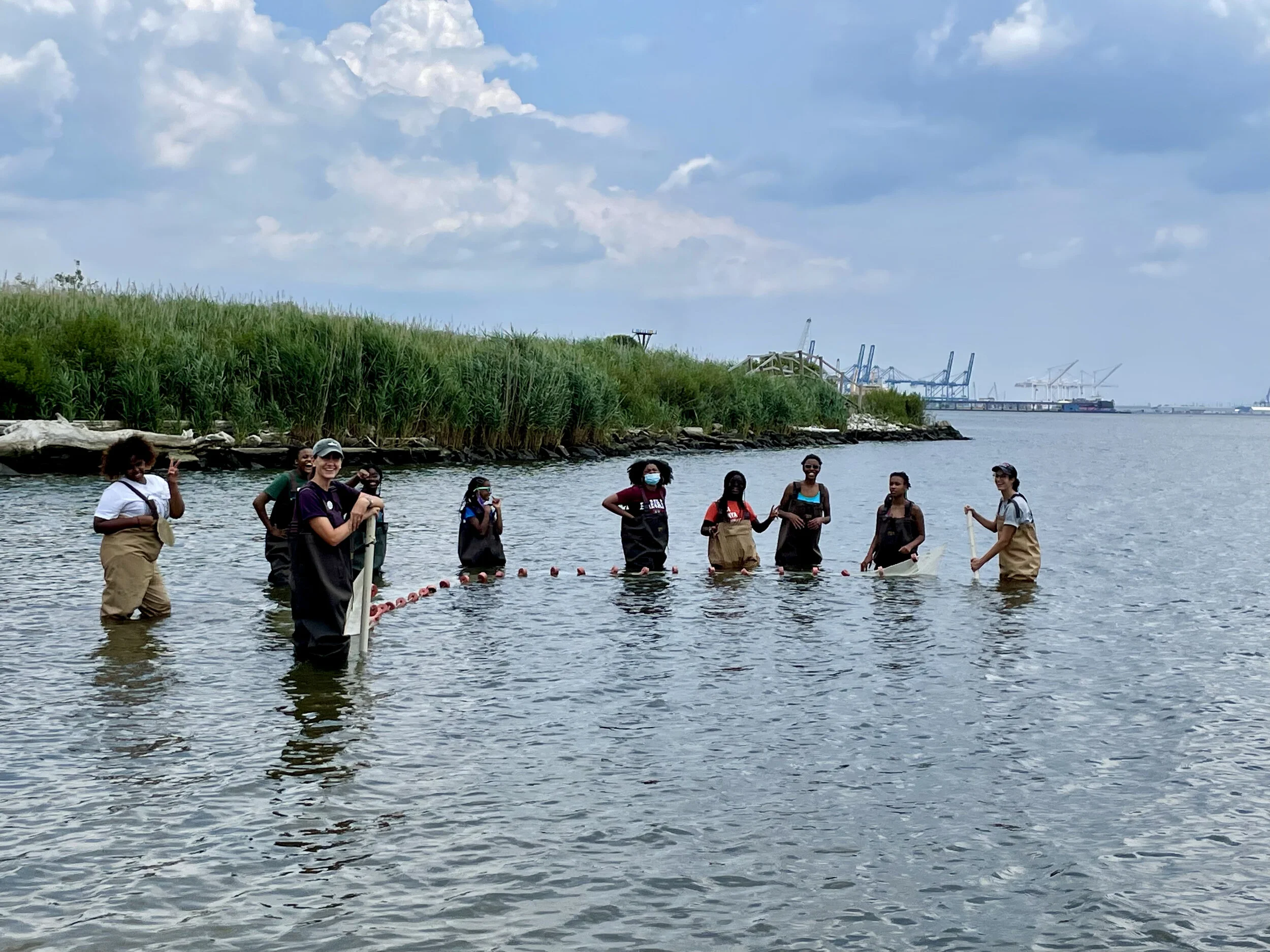 seining.jpeg