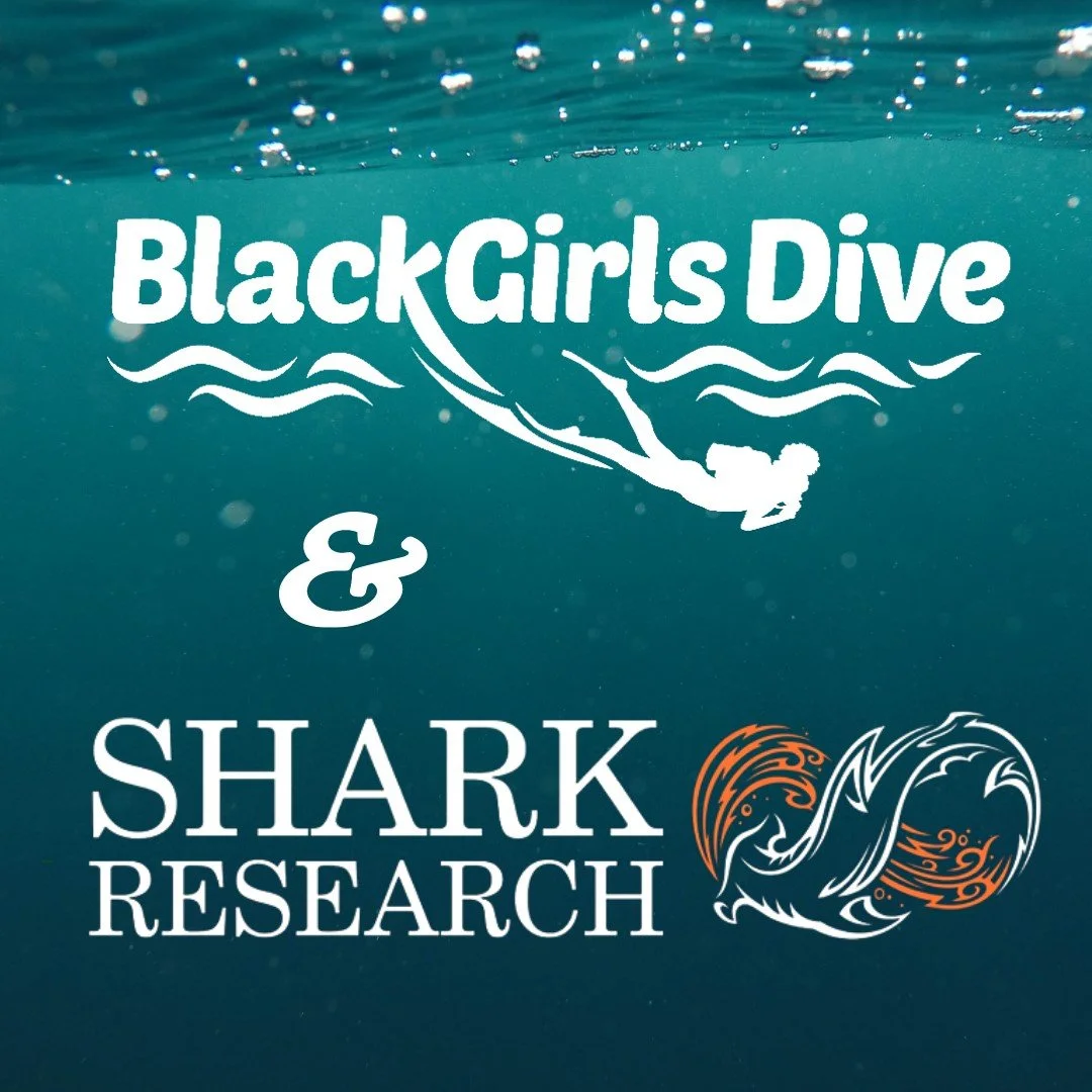 Shark Tagging Capstone Expedition