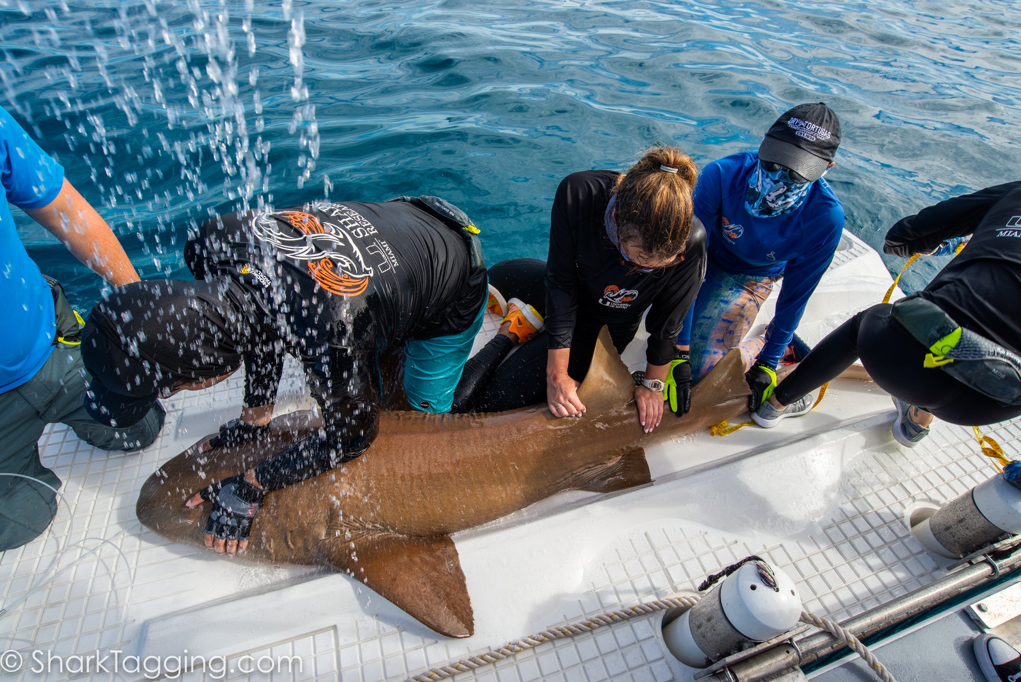 211113_125528_124_AVD_BlackGirlsDive_ToSend.jpg