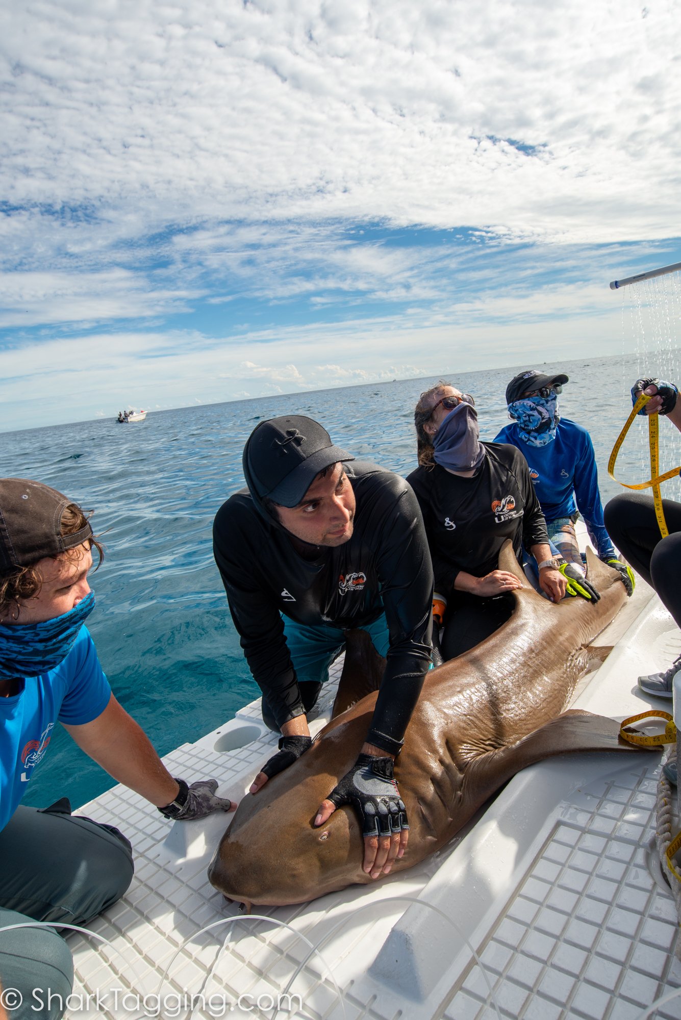 211113_125511_123_AVD_BlackGirlsDive_ToSend.jpg