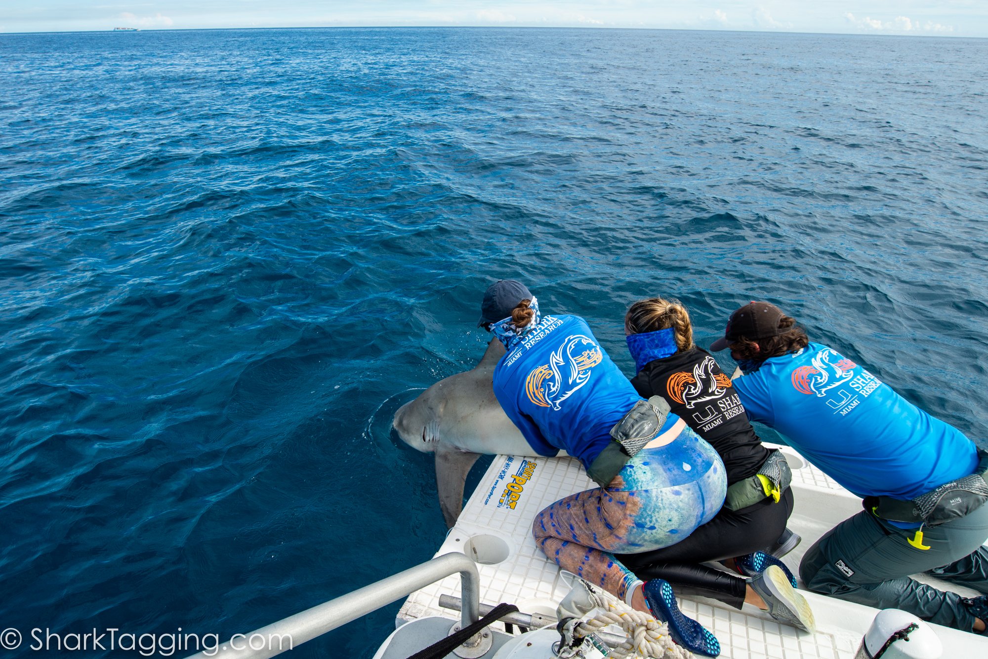 211113_123504_103_AVD_BlackGirlsDive_ToSend.jpg