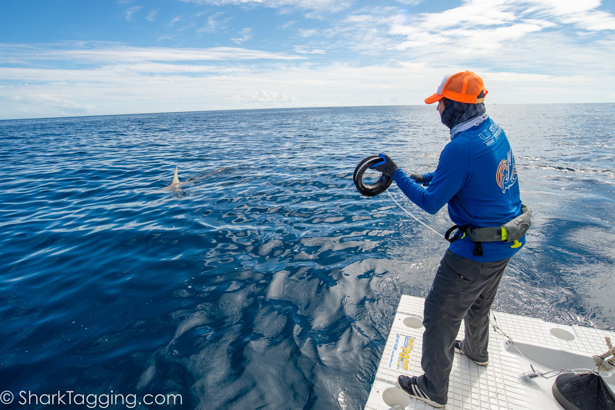 211113_121506_82_AVD_BlackGirlsDive_ToSend.jpg