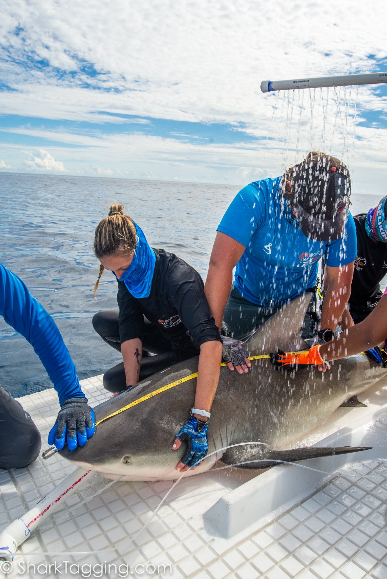 211113_114314_67_AVD_BlackGirlsDive_ToSend.jpg