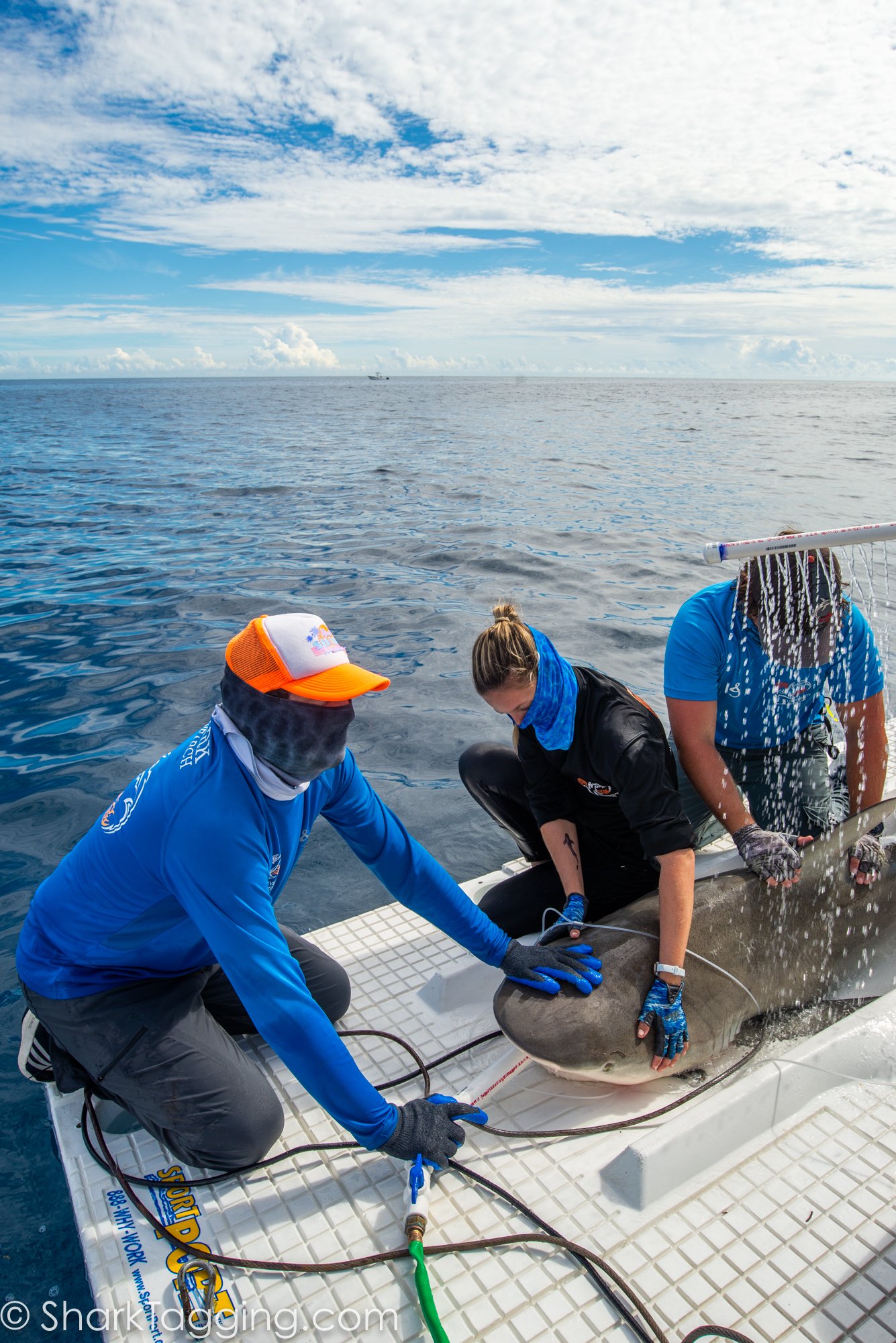 211113_114220_66_AVD_BlackGirlsDive_ToSend.jpg