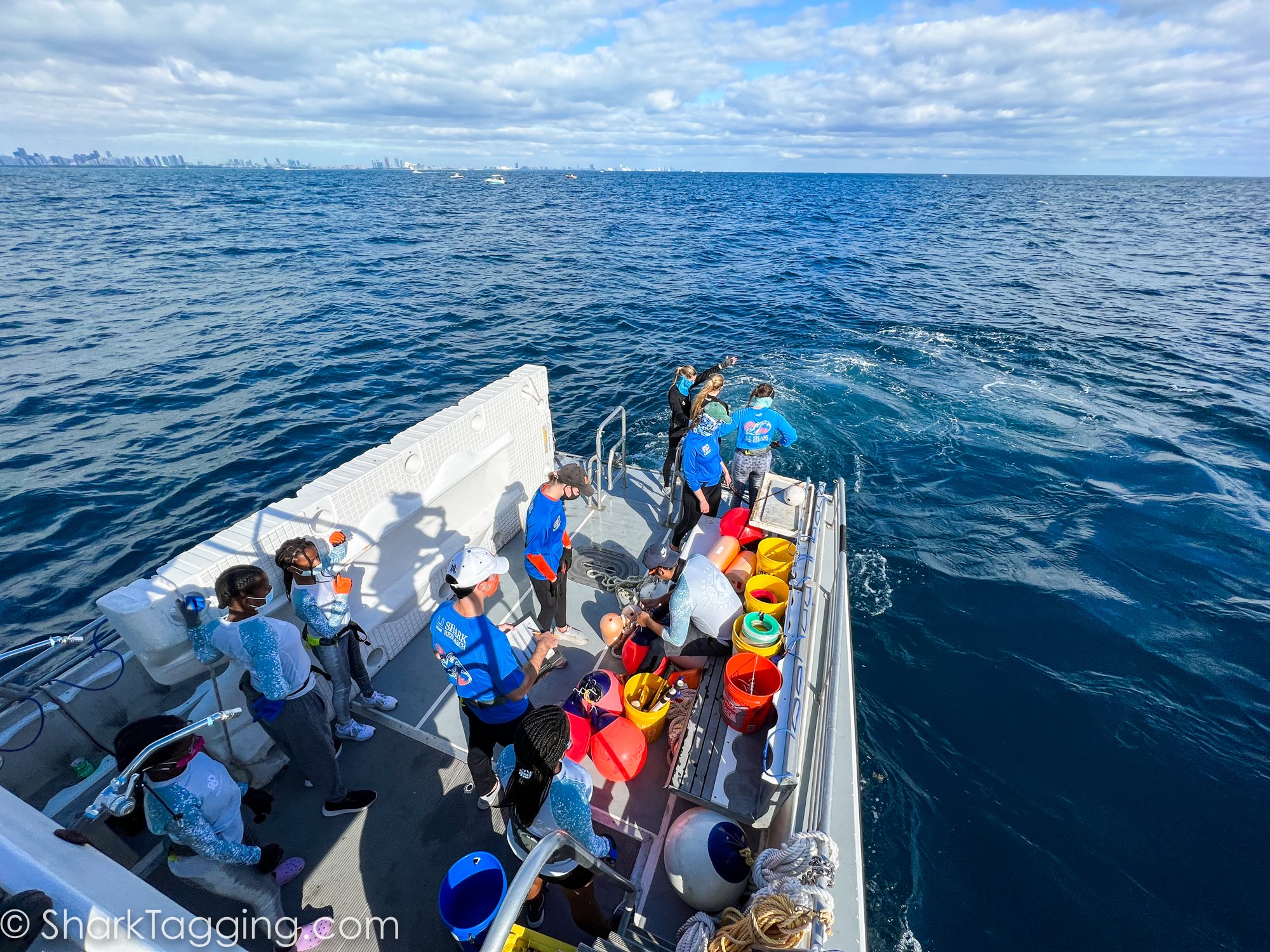 211204_095708_123_AVD_BlackGirlsDive_ToSend.jpg