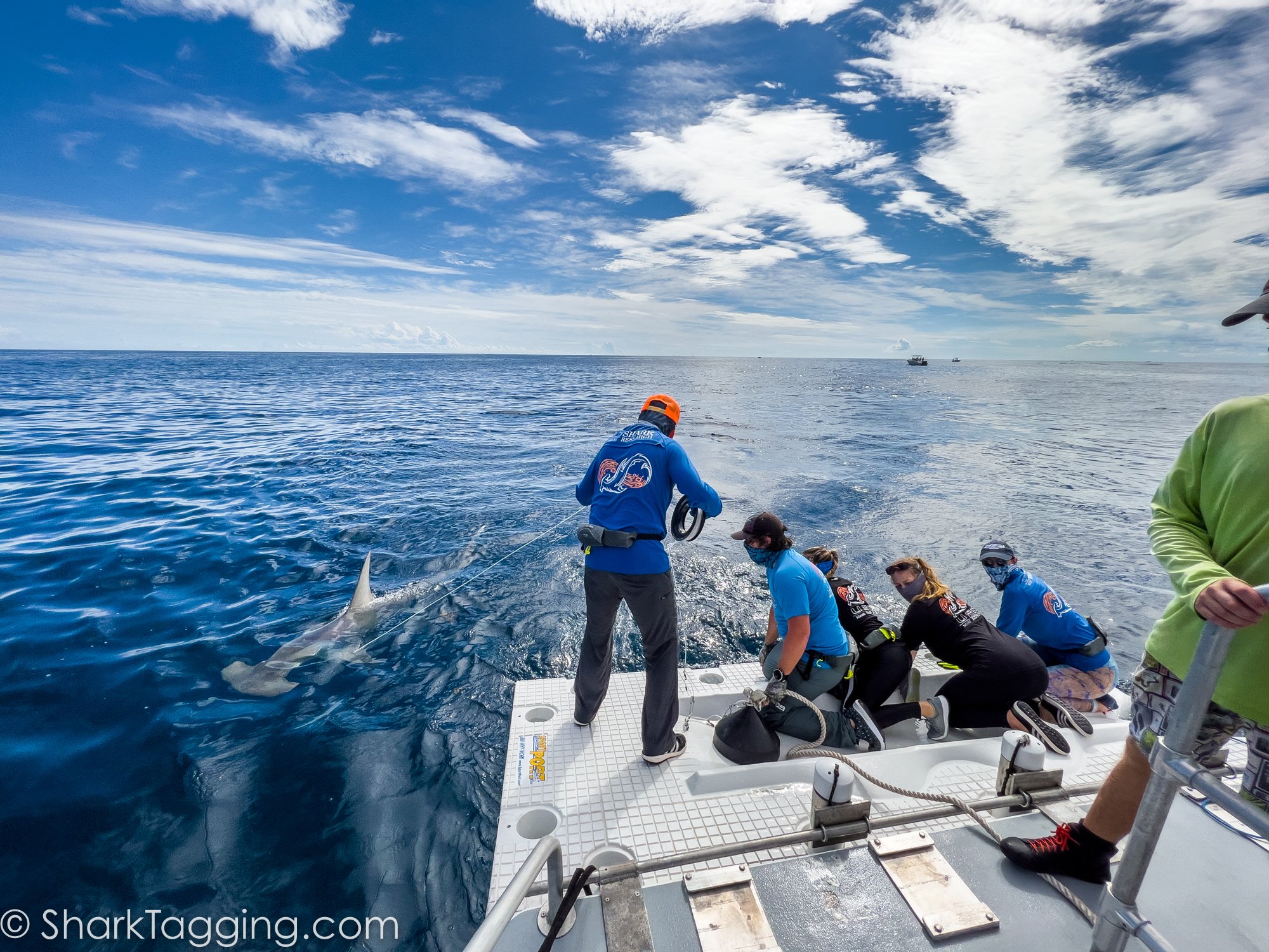 211113_131221_134_AVD_BlackGirlsDive_ToSend.jpg