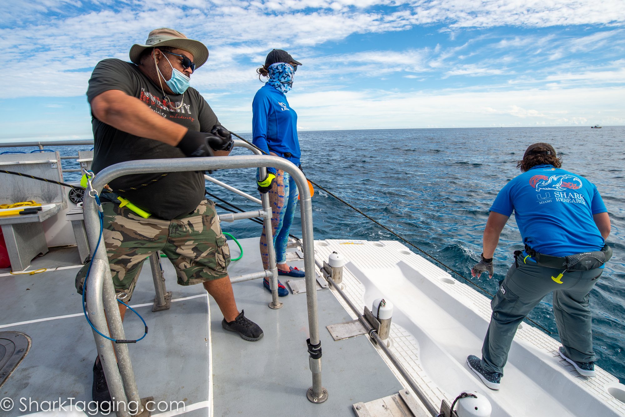 Instructor David assist with pulling up a hammerhead shark