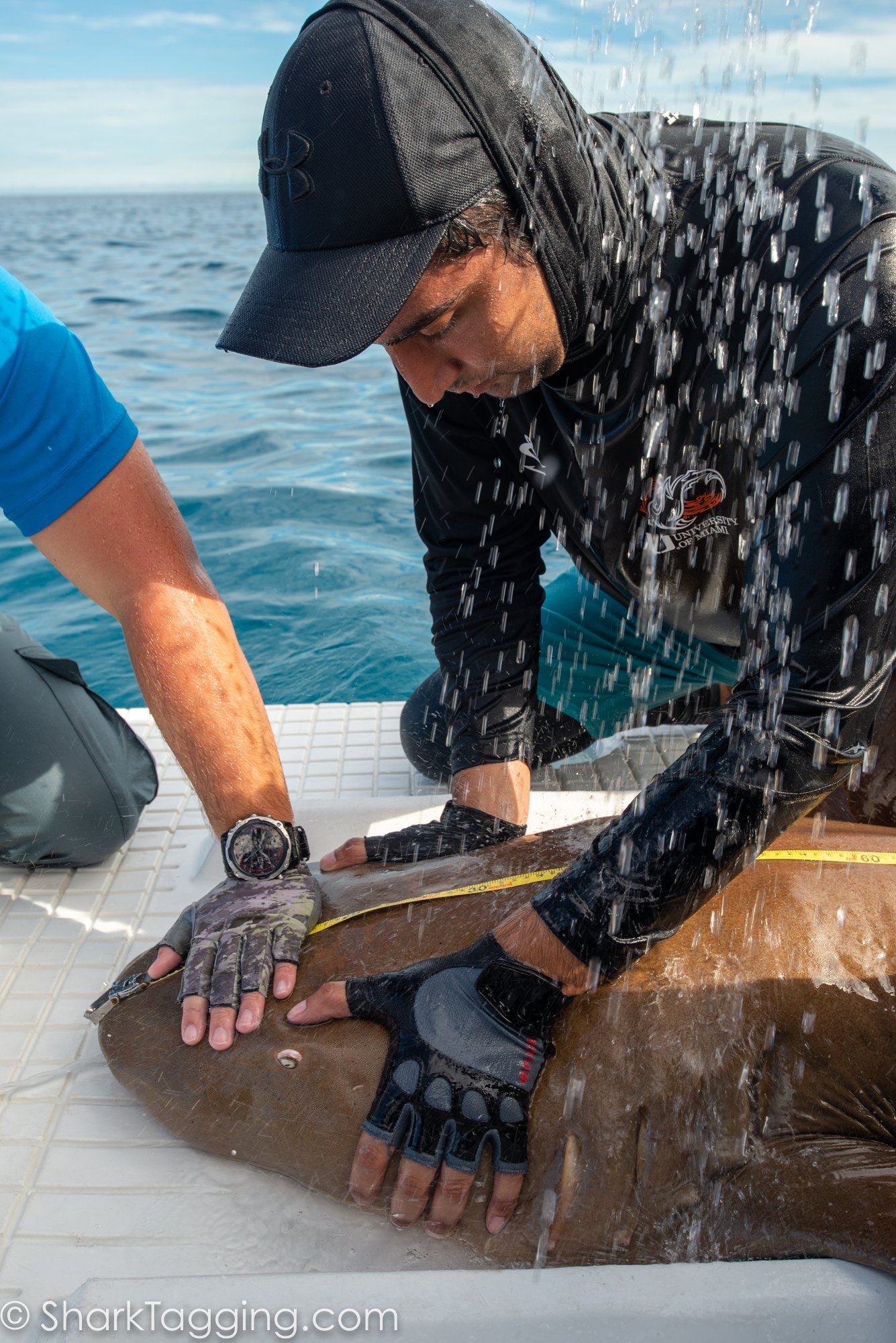 211113_125338_119_AVD_BlackGirlsDive_ToSend.jpg