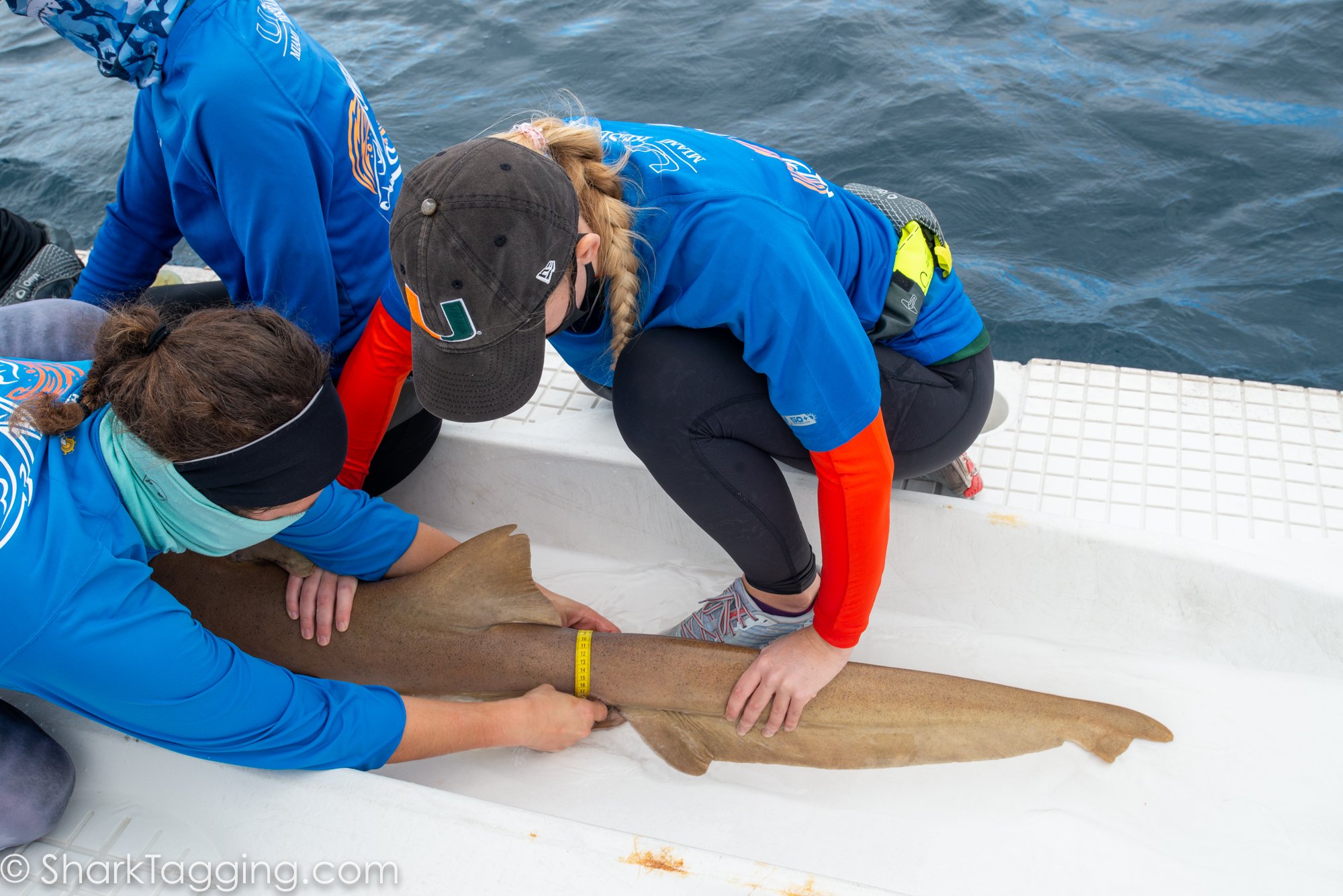 211204_094243_72_AVD_BlackGirlsDive_ToSend.jpg