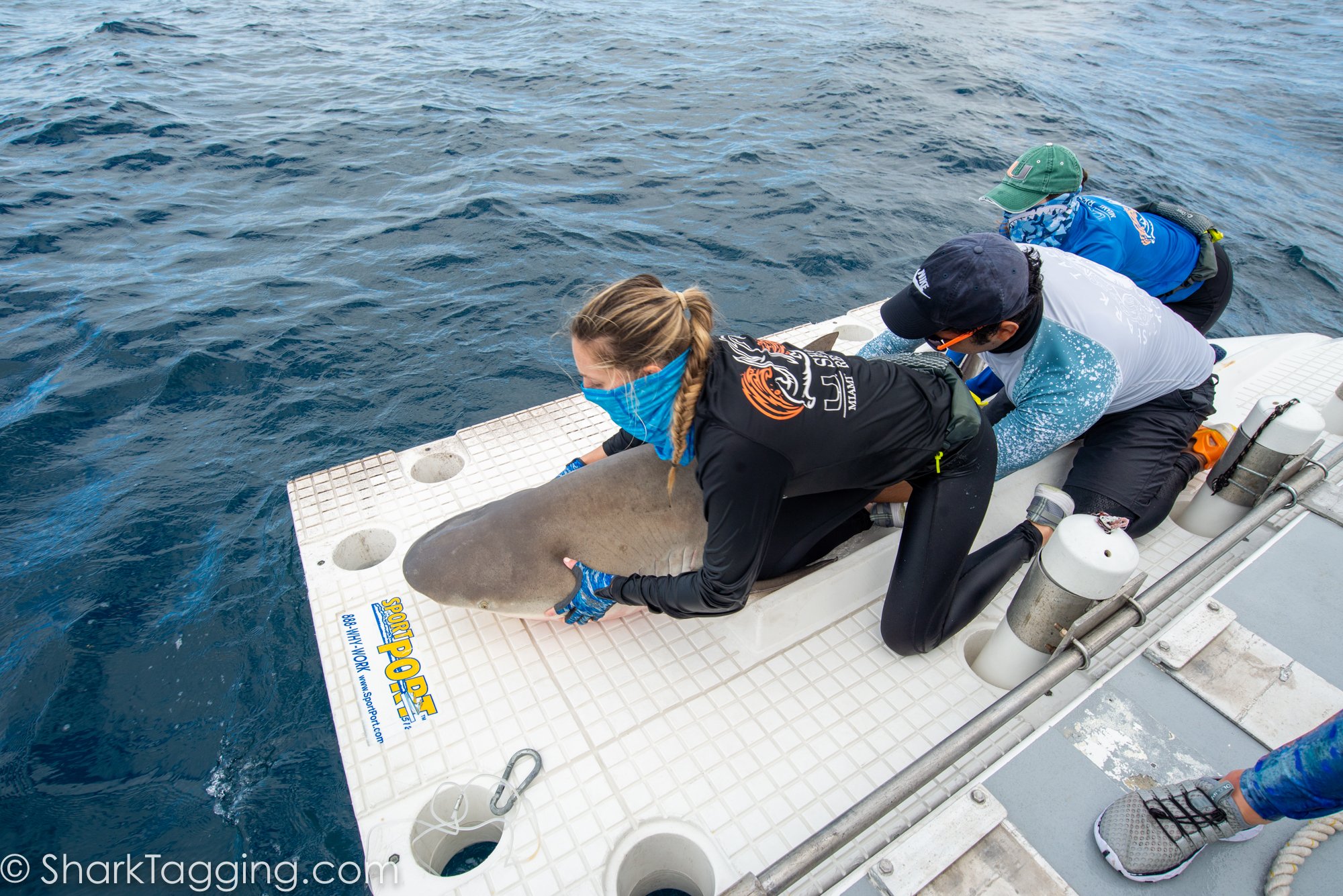 211204_093117_63_AVD_BlackGirlsDive_ToSend.jpg