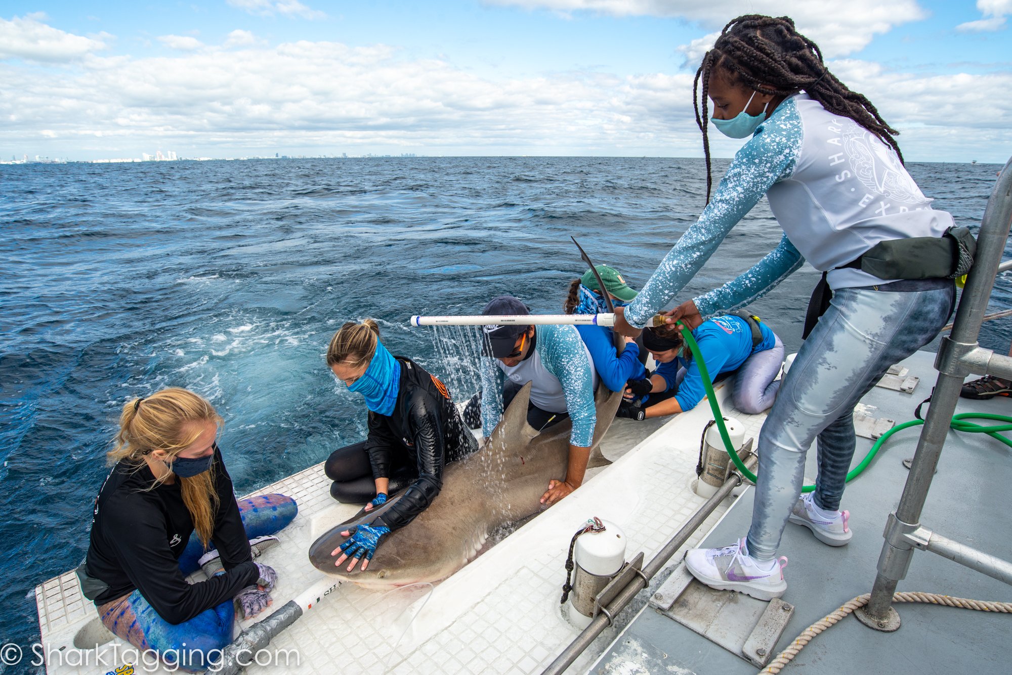 BGD Scholar Zaria hydrates the shark 