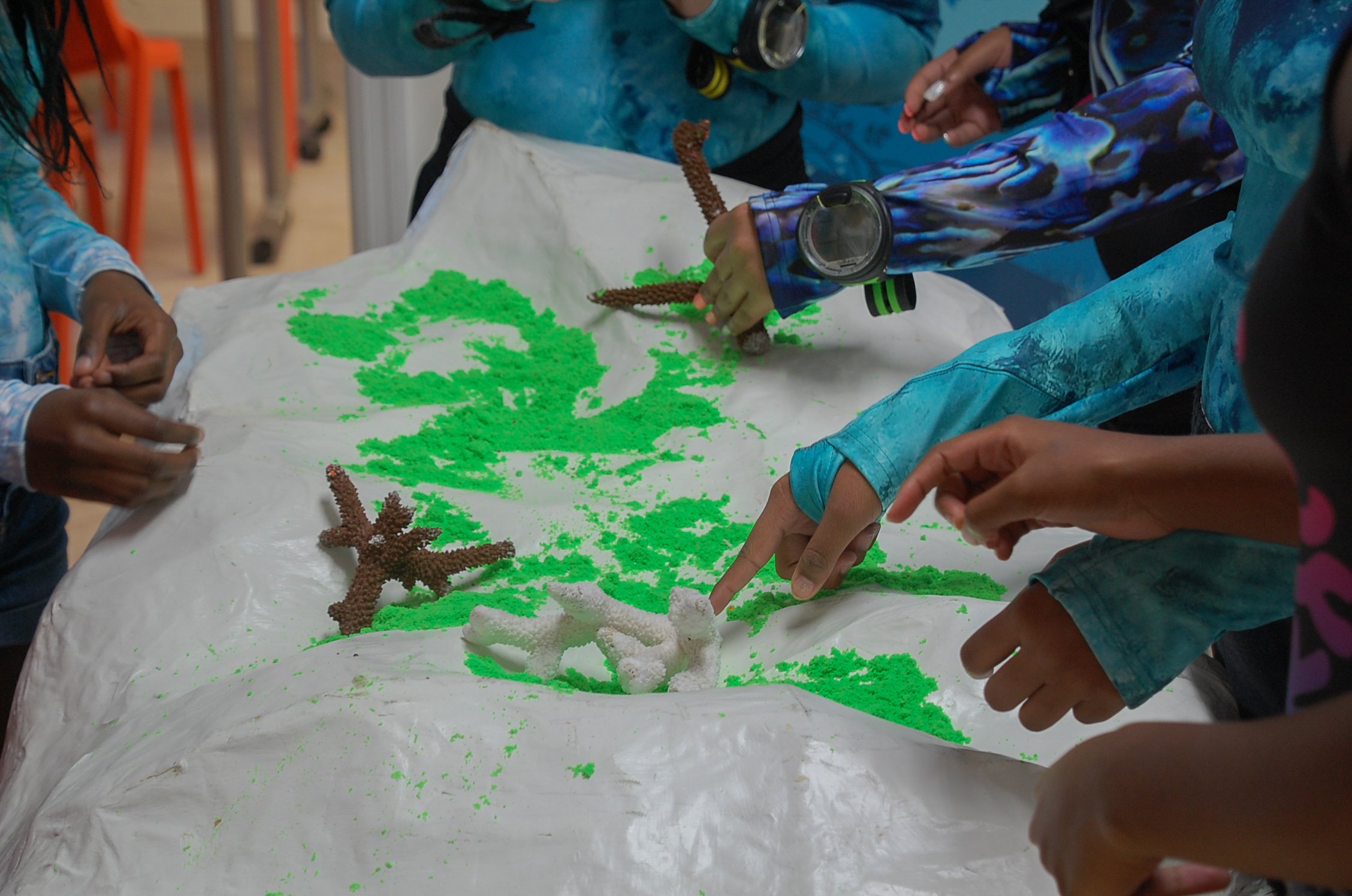 BGD Scholars learn about and practice coral restoration and techniques 