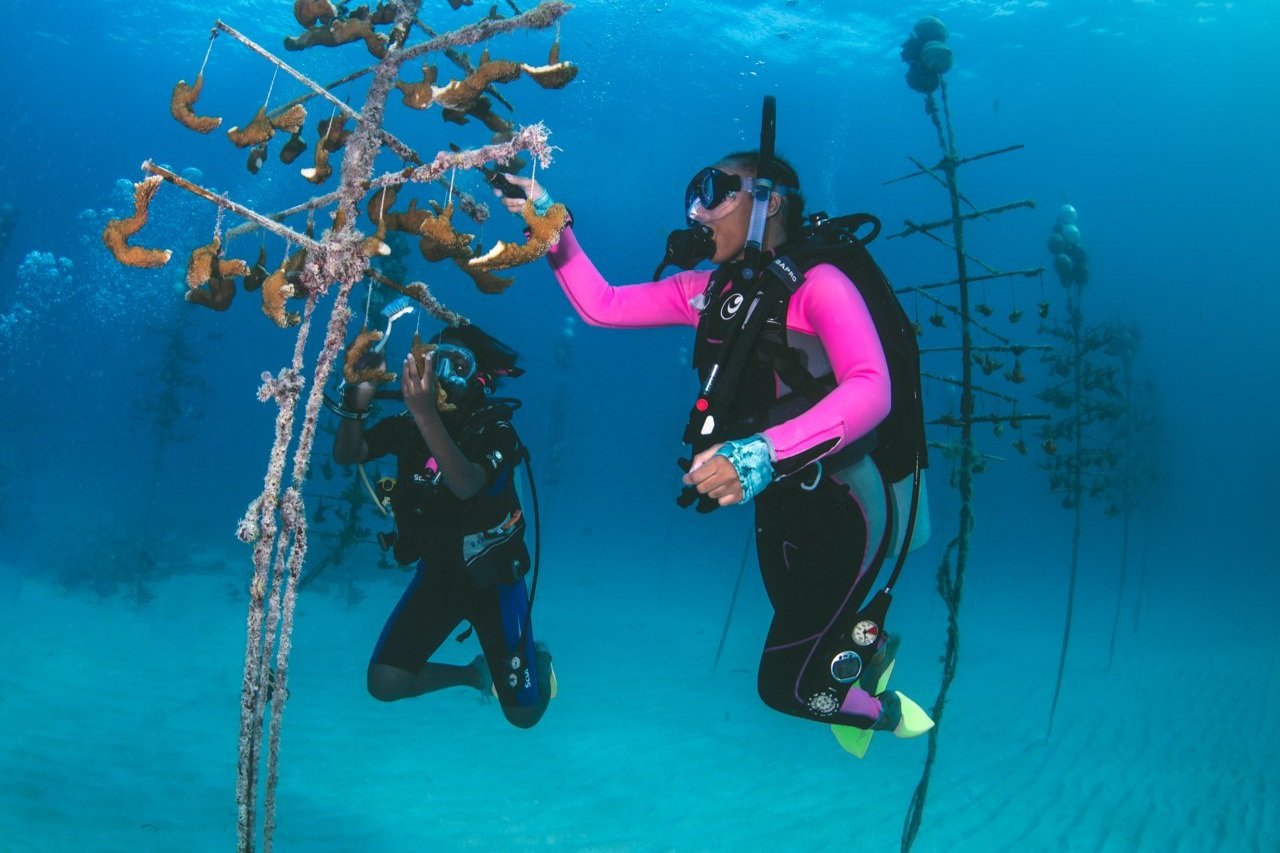  Black Girls Dive Foundation, photo credit:Zach Ransom/Coral Restoration Foundation™ 