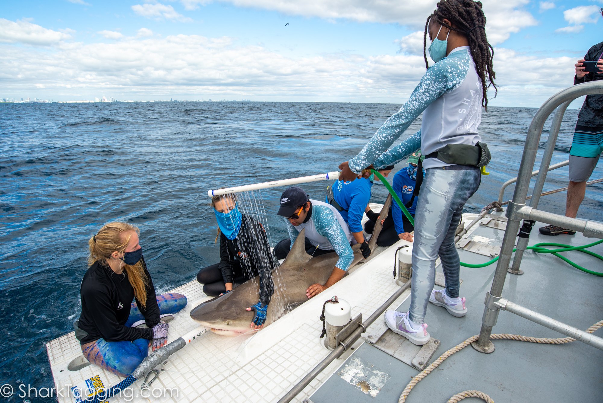 211204_092901_61_AVD_BlackGirlsDive_ToSend.jpg