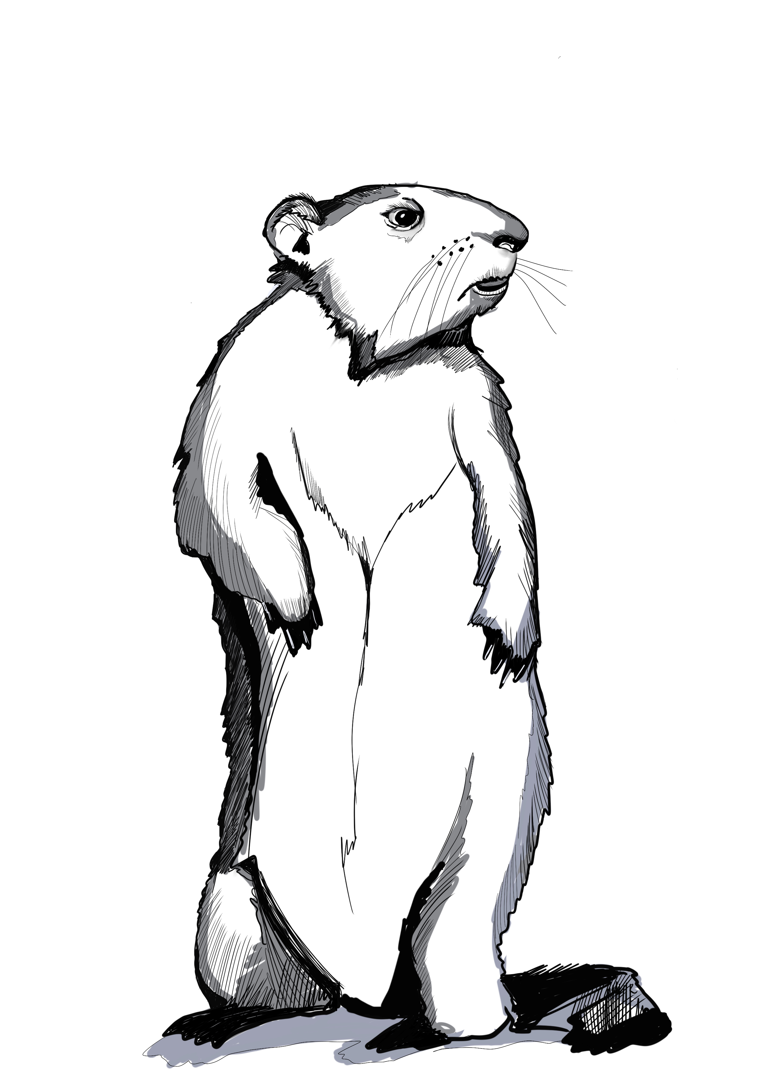 Trent_Severn_Hog.jpg