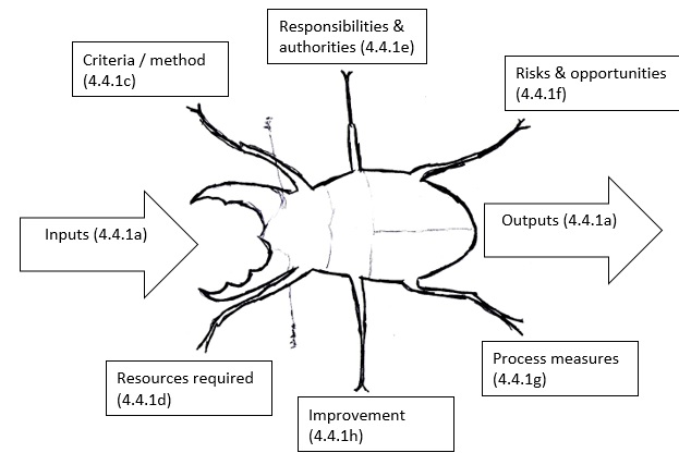 Figure 3. Beetle Diagram (Modified Turtle Diagram)