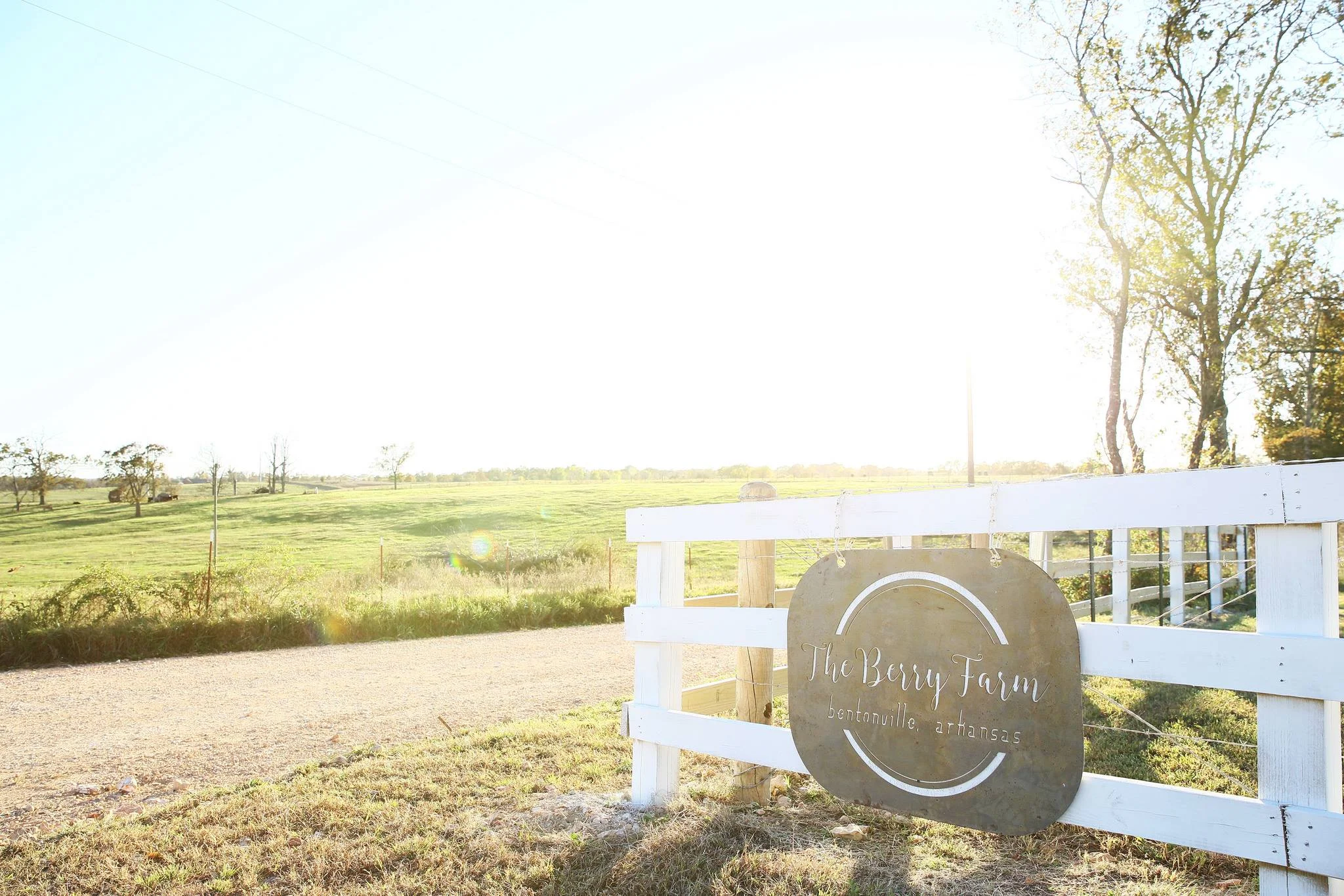 The Berry Farm