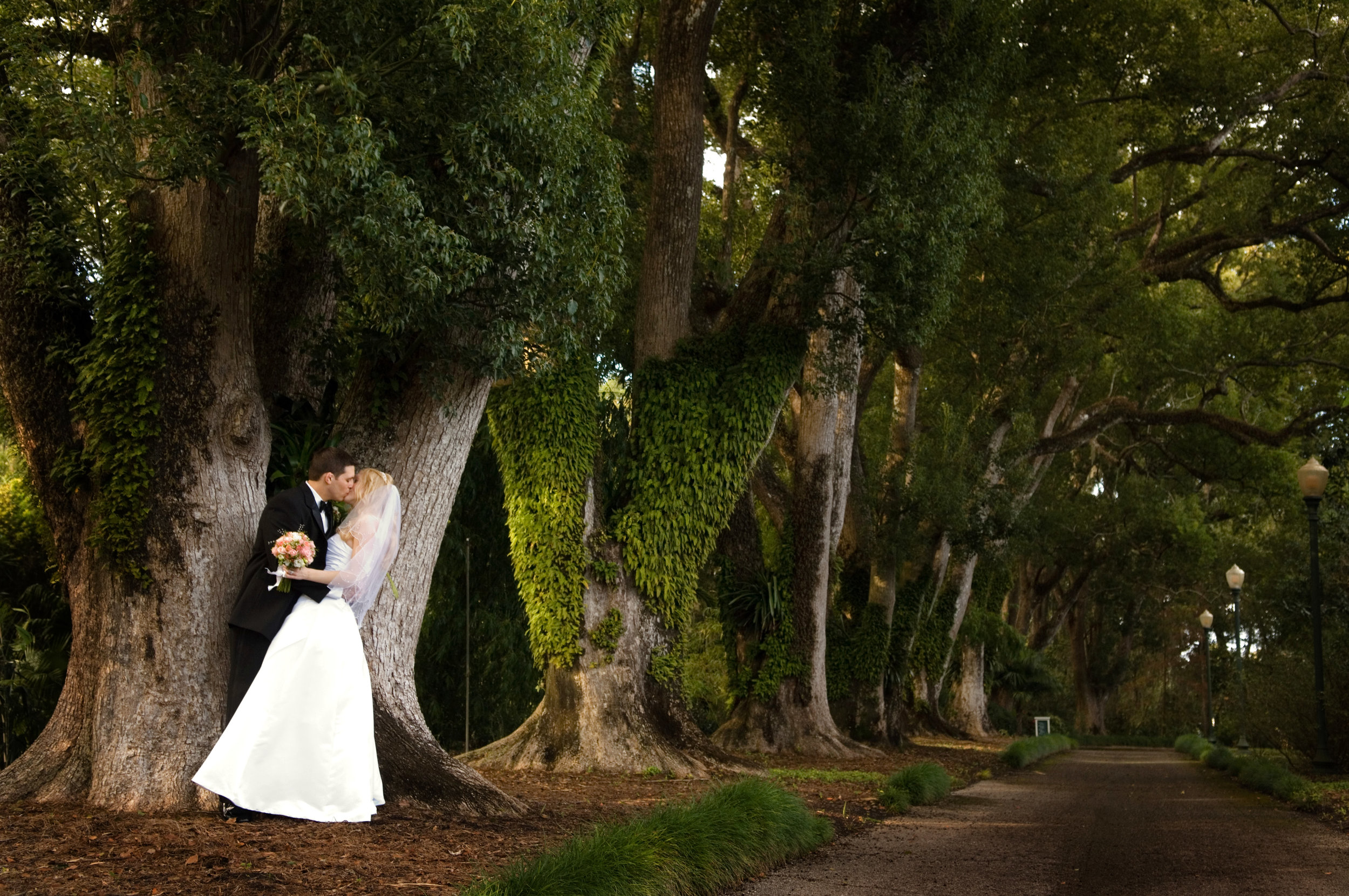 Wedding planning inspiration
