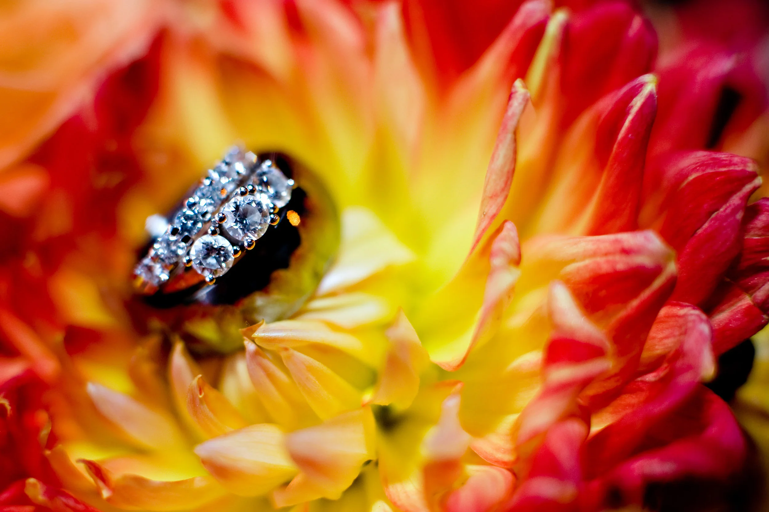 Wedding planning - Wedding rings