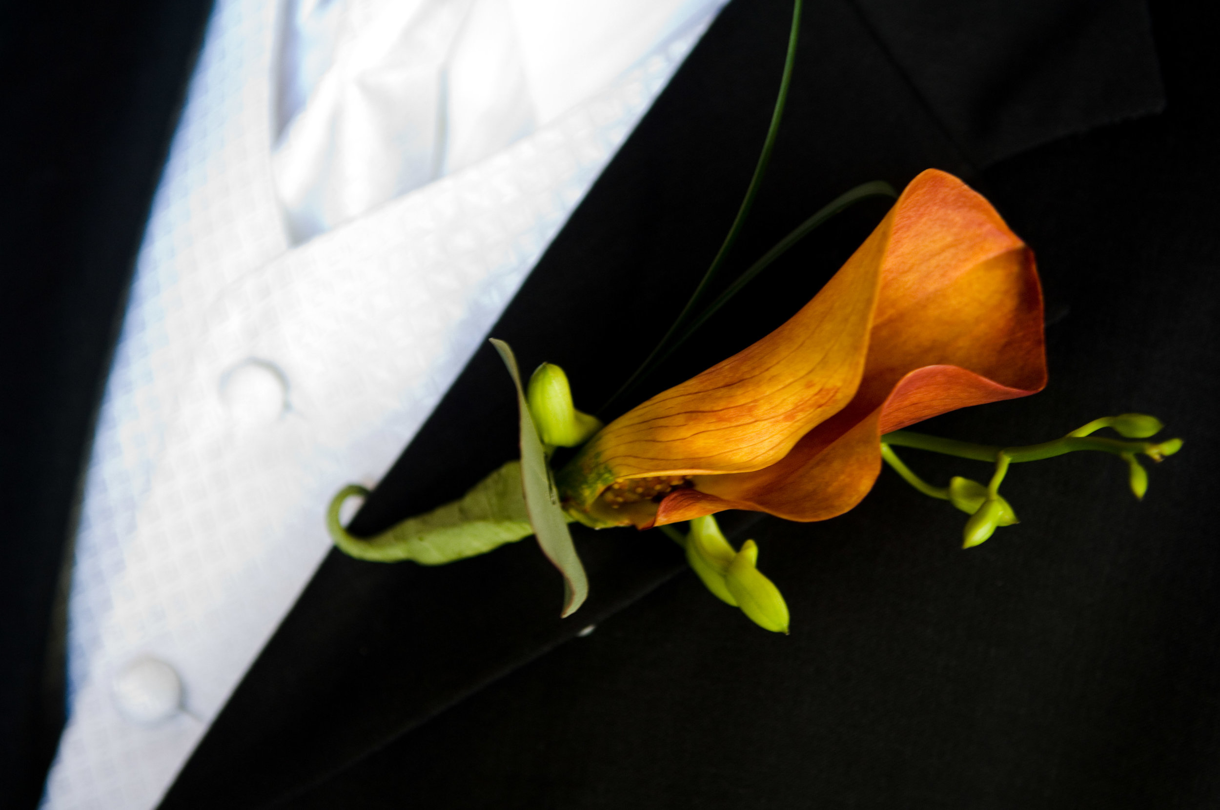 Orlando Wedding Photography