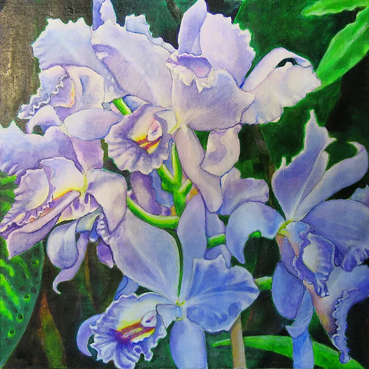Orchid 5,Art by Getch