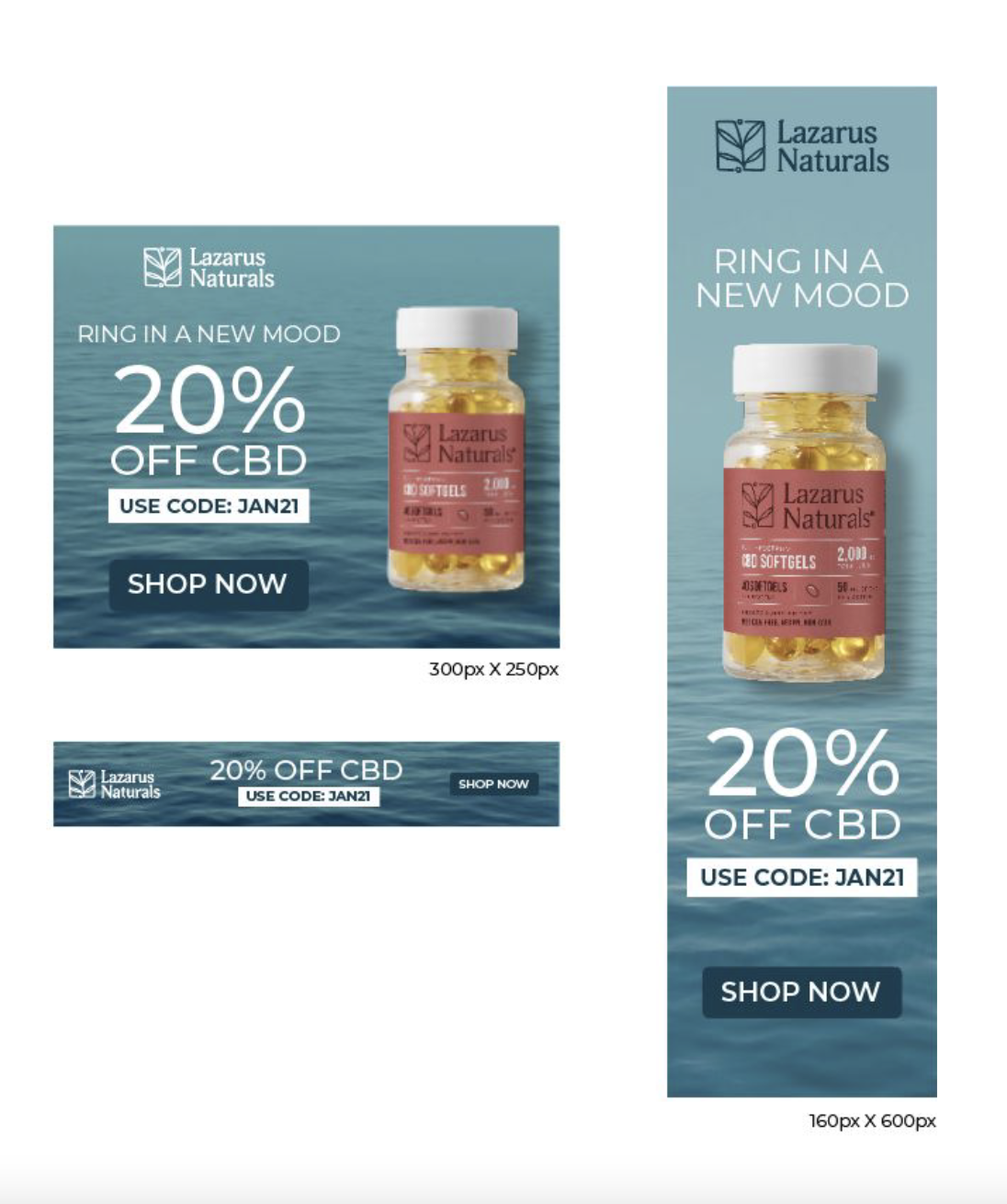 Screen Shot 2021-02-10 at 2.26.06 PM.png