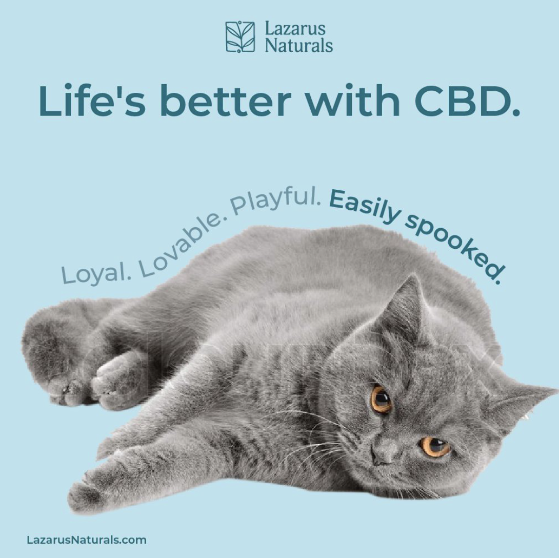 Screen Shot 2021-02-10 at 3.34.43 PM.png