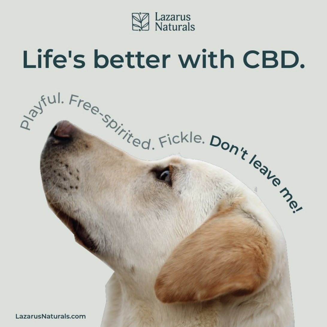 Screen Shot 2021-02-10 at 3.34.52 PM.png