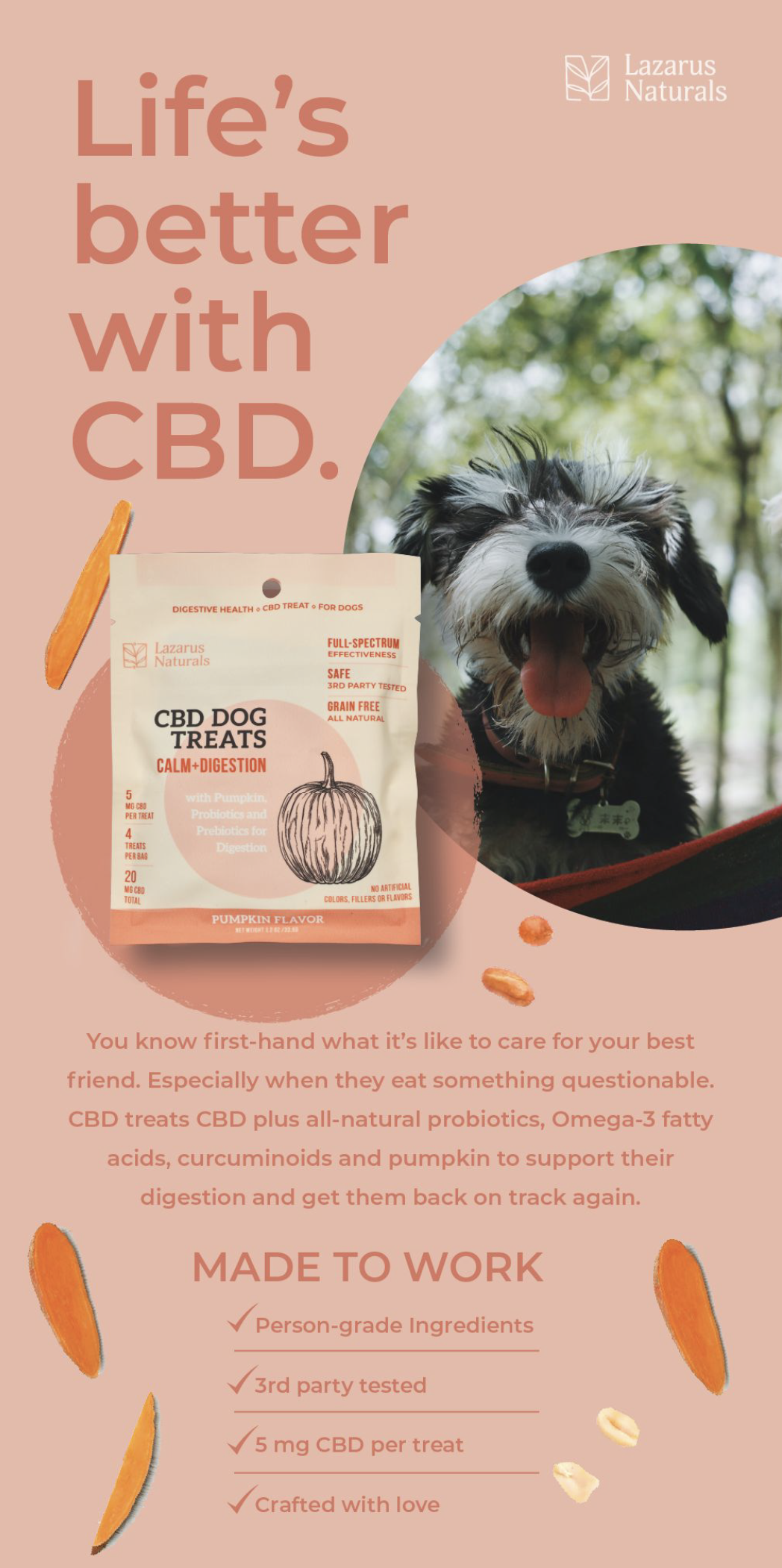 Screen Shot 2021-02-10 at 3.33.10 PM.png