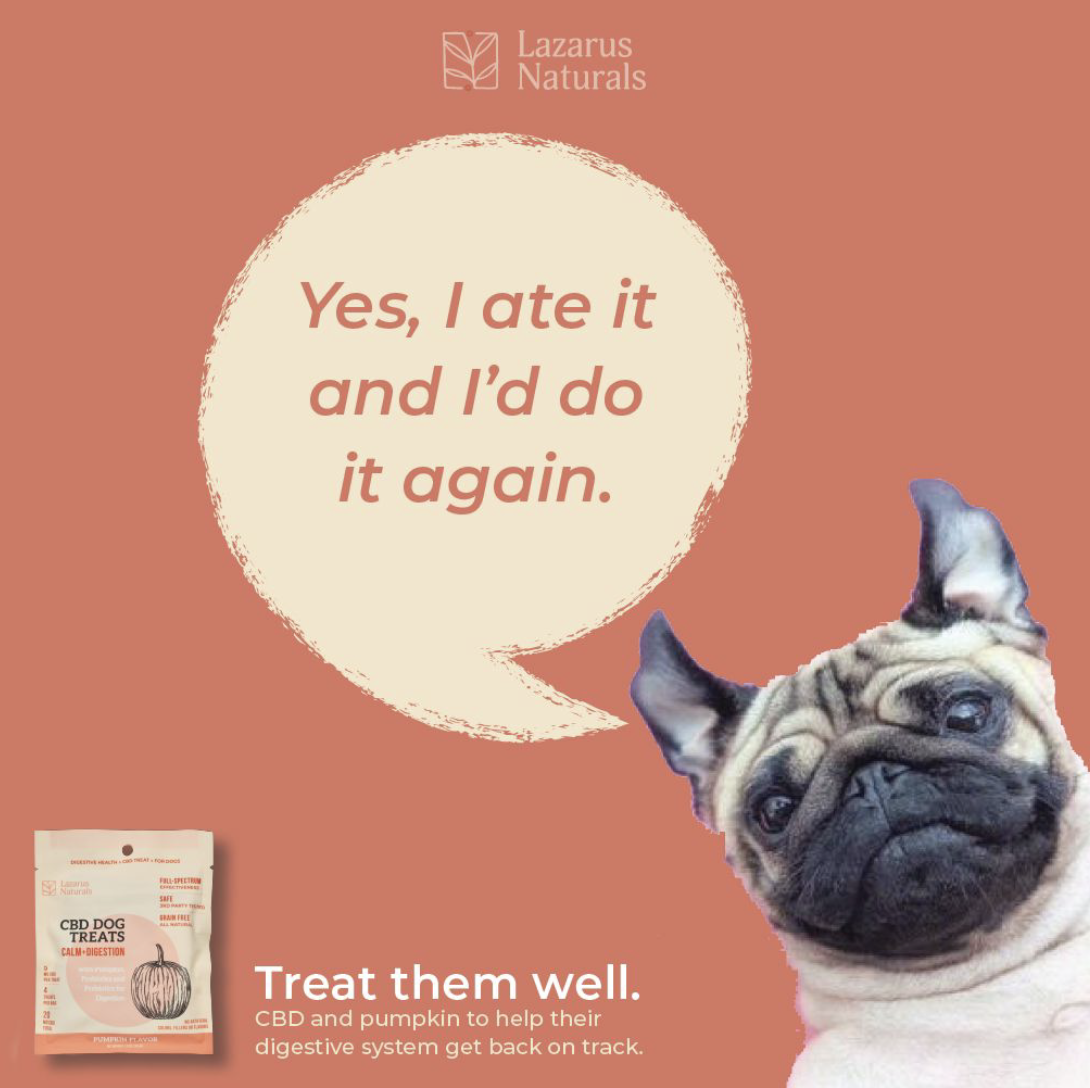 Screen Shot 2021-02-10 at 3.39.29 PM.png