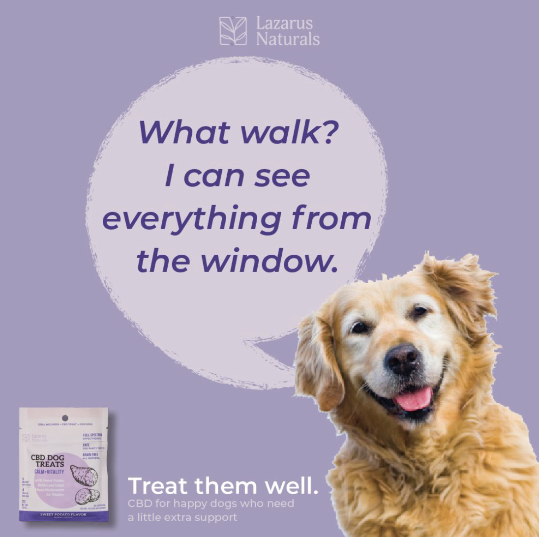 Screen Shot 2021-02-10 at 3.39.41 PM.png